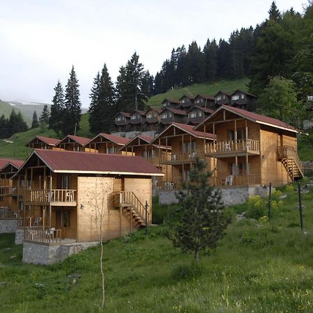Zitas Zigana Yayla Tatil Koyu Мачка Экстерьер фото