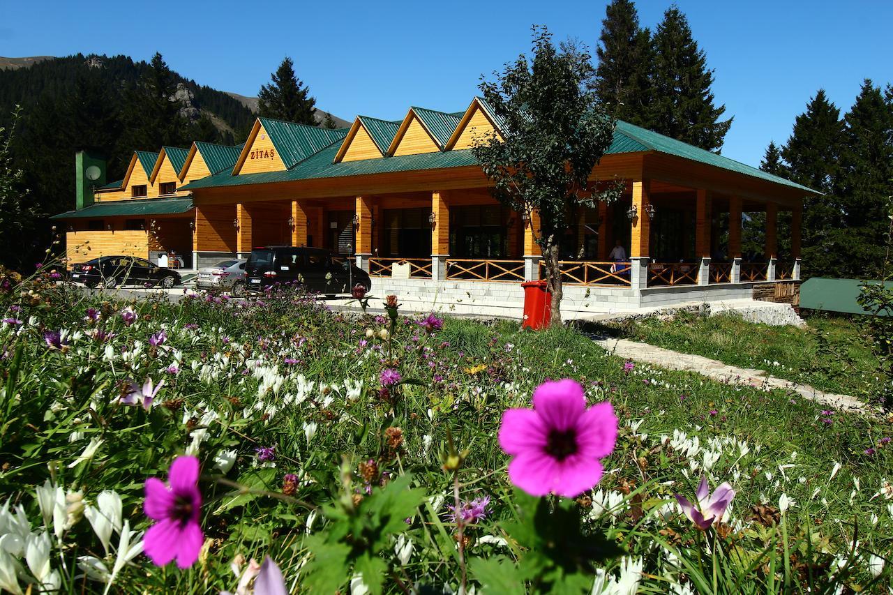 Zitas Zigana Yayla Tatil Koyu Мачка Экстерьер фото