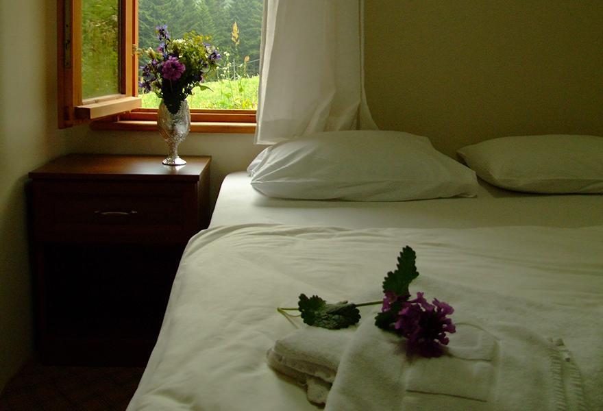 Zitas Zigana Yayla Tatil Koyu Мачка Экстерьер фото