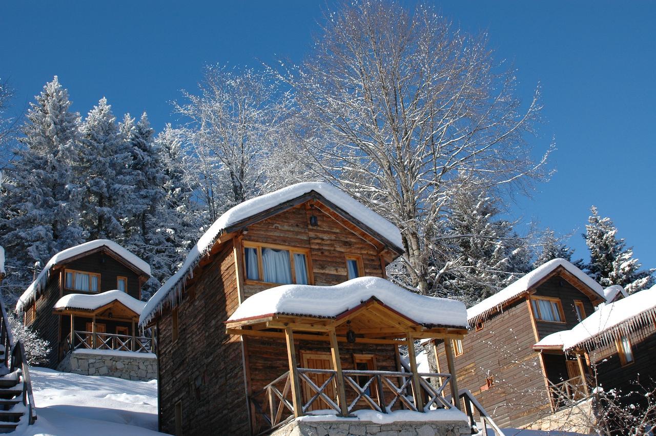 Zitas Zigana Yayla Tatil Koyu Мачка Экстерьер фото