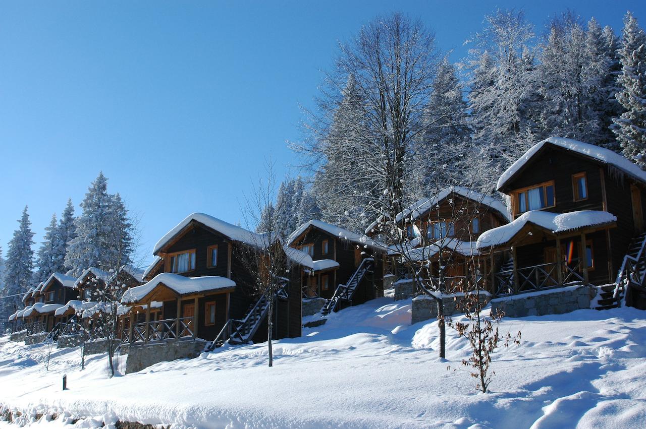 Zitas Zigana Yayla Tatil Koyu Мачка Экстерьер фото