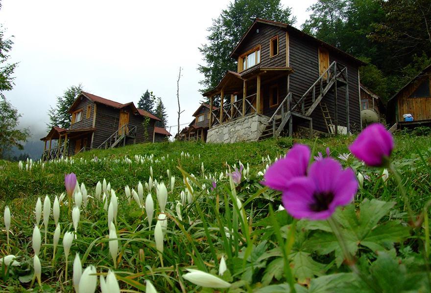 Zitas Zigana Yayla Tatil Koyu Мачка Экстерьер фото