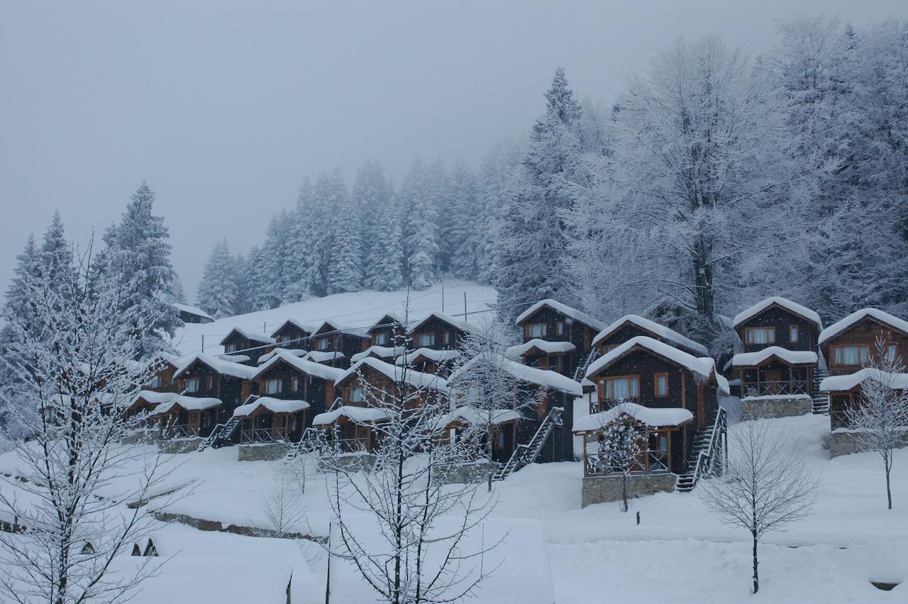 Zitas Zigana Yayla Tatil Koyu Мачка Экстерьер фото