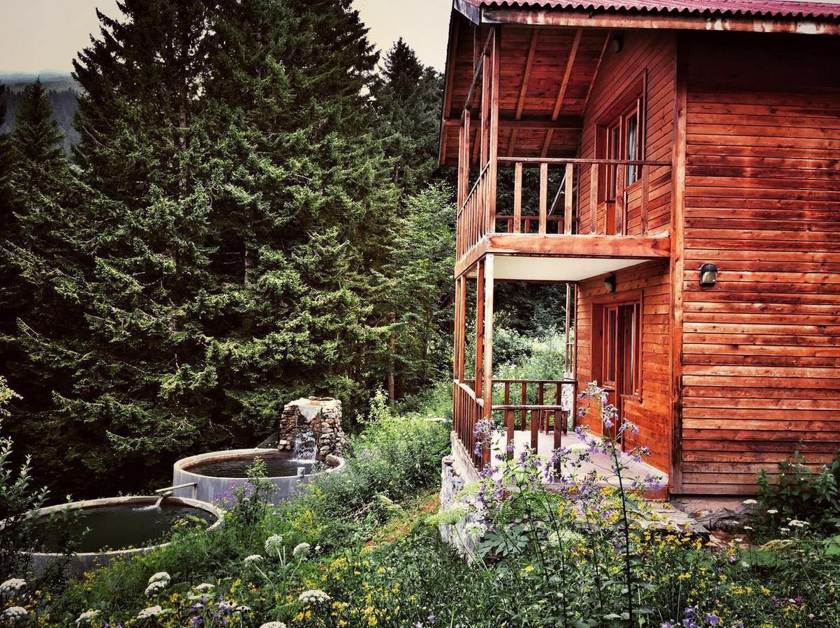 Zitas Zigana Yayla Tatil Koyu Мачка Экстерьер фото