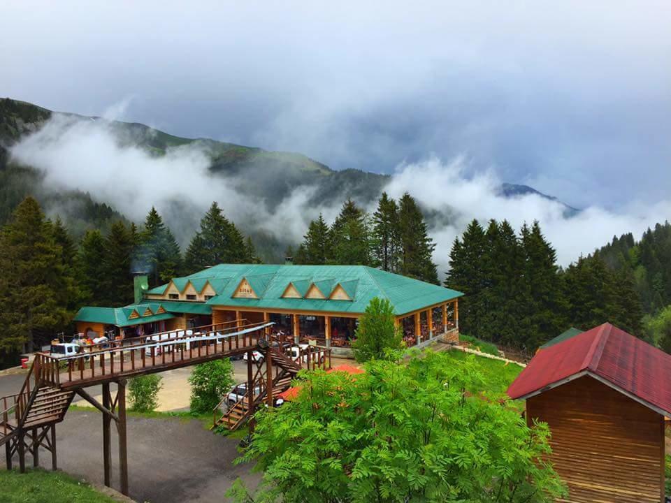 Zitas Zigana Yayla Tatil Koyu Мачка Экстерьер фото