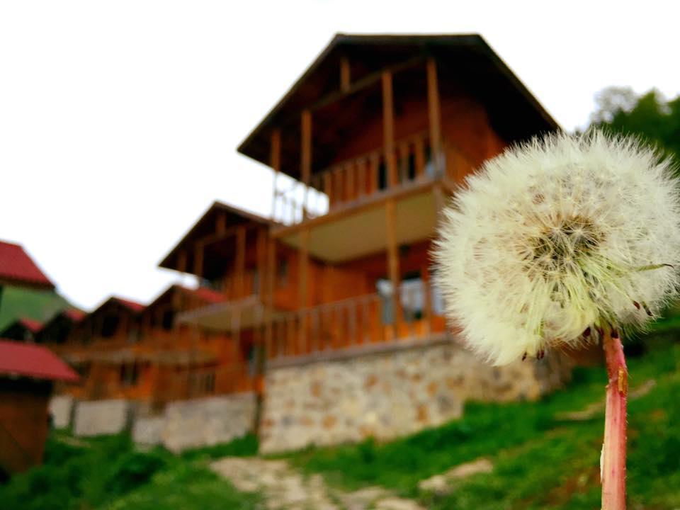 Zitas Zigana Yayla Tatil Koyu Мачка Экстерьер фото