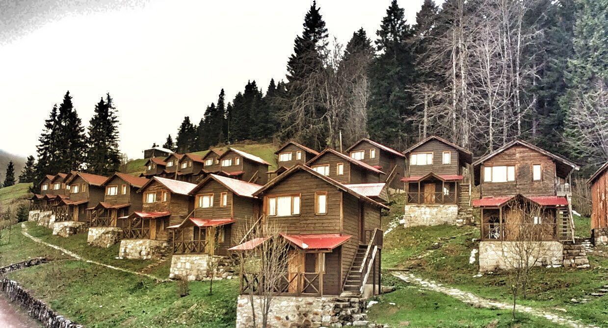 Zitas Zigana Yayla Tatil Koyu Мачка Экстерьер фото