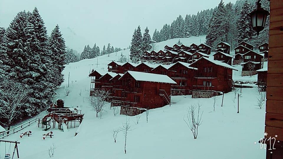 Zitas Zigana Yayla Tatil Koyu Мачка Экстерьер фото